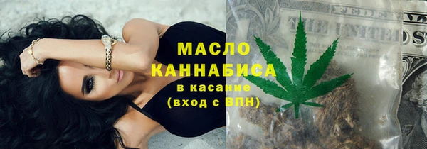 индика Заволжье