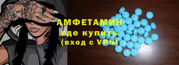 индика Заволжье