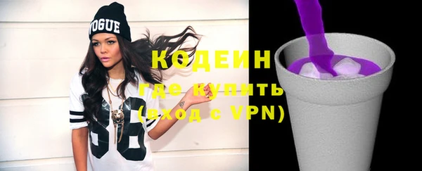 индика Заволжье