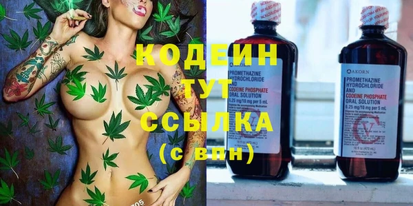 индика Заволжье