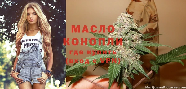 индика Заволжье