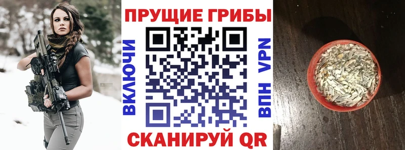 Галлюциногенные грибы Psilocybine cubensis  Купить  Данков 